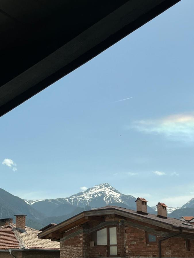 Bashtin Dom - Skabrin House Hotel Bansko Exterior foto